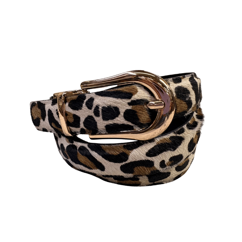Ref.15170